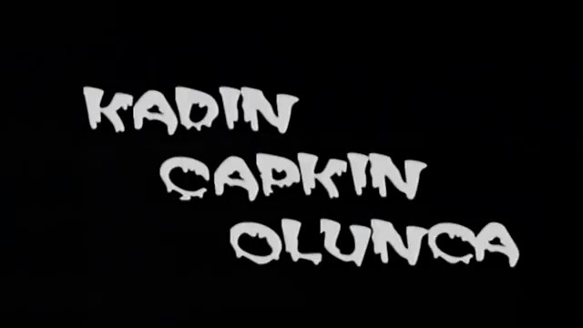 Kadın Çapkın Olunca Feri Cansel Filmi izle